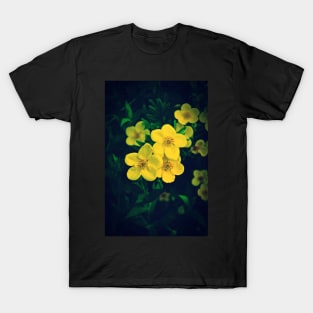 Yellow Potentilla Blossoms T-Shirt